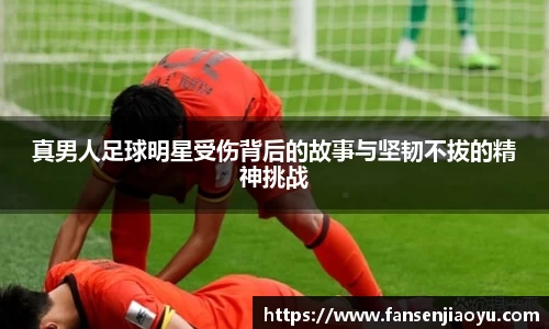 emc体育官方下载